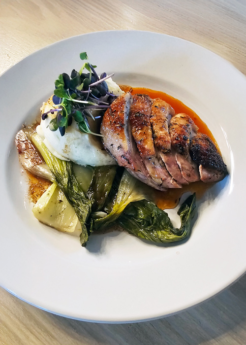 Plated dish of seared duck breast with sautéed bok choy, mashed potatoes, microgreens, and a drizzle of sauce, artfully arranged on a white dinner plate.