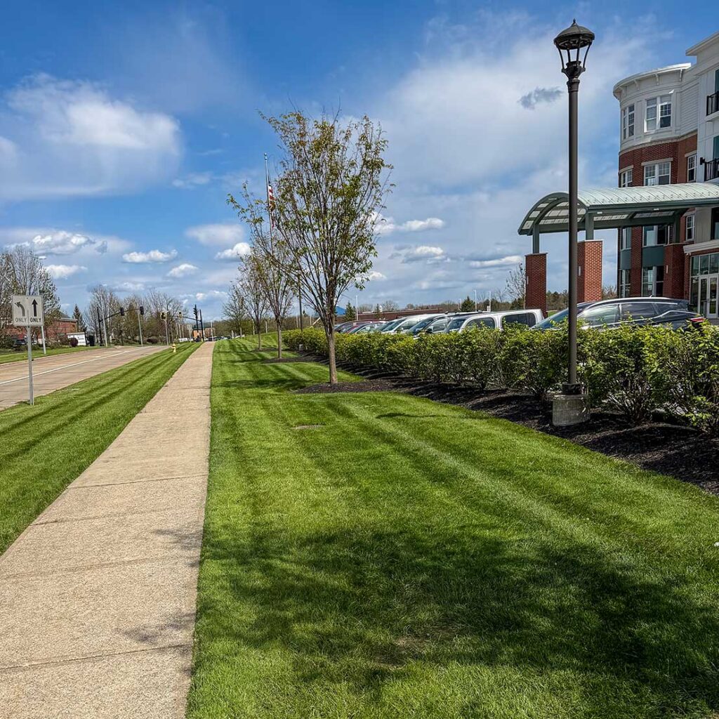 An exterior view showcasing footpath and carefully maintained trees and shrubs.